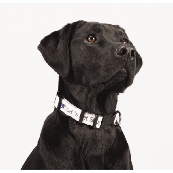 Full Color 1" Wide Adjustable Pet Collar Thumbnail